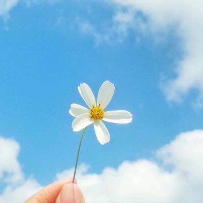 注册就送38的平台下载手机版